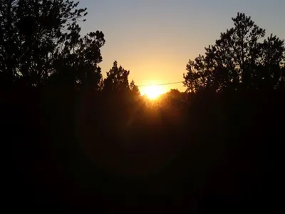 Manzano's RV Park