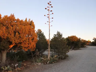 Manzano's RV Park
